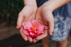A Charitable Remainder Unitrust allows you to do good things, while still reaping a benefit. A rose in the cupped hands of a woman.